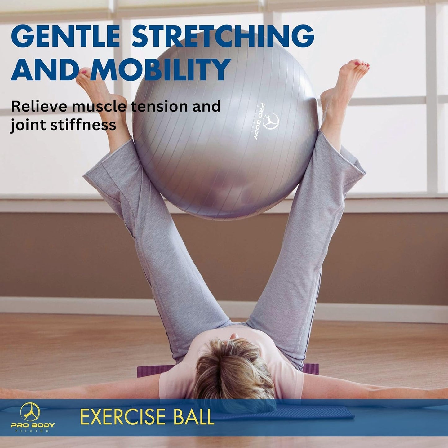 Premium Exercise Ball - Versatile Gym-Grade Balance Ball for Fitness, Yoga, Workout, Pregnancy & Physical Therapy